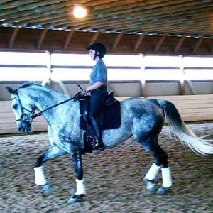 Meet your Posher, Katherine